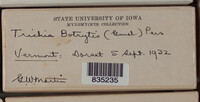 Image Associated With the Occurence
